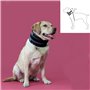 Collier cervical pour chiens KVP Noir (6-28 cm)