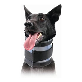 Collier cervical pour chiens KVP Noir (9-36 cm)