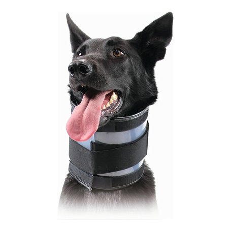 Collier cervical pour chiens KVP Noir (9-36 cm)