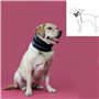 Collier cervical pour chiens KVP Noir (9-36 cm)