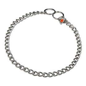 Collier pour Chien Hs Sprenger Argenté 2,5 mm Maillons Torsadé (45 cm)