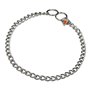 Collier pour Chien Hs Sprenger Argenté 2,5 mm Maillons Torsadé (45 cm)