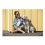 Laisse pour Chien Flexi Style 5 m Taille M Blanc
