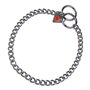 Collier pour Chien Hs Sprenger Argenté 2 mm Maillons Torsadé (35 cm)