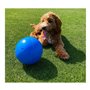 Jouet pour chien Company of Animals Boomer Bleu (200mm)