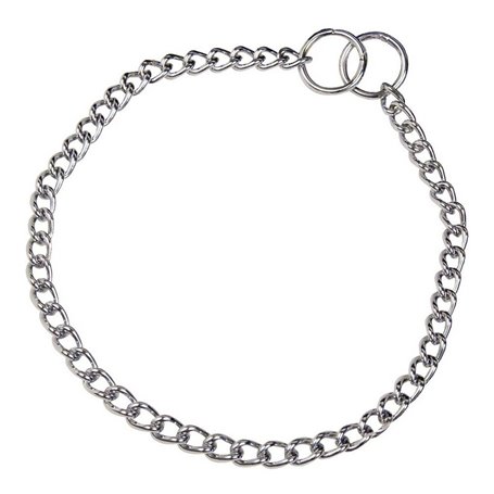 Collier pour Chien Hs Sprenger Argenté 2,5 mm Maillons Torsadé (60 cm)