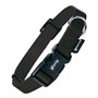 Collier pour Chien Gloria Noir Taille M (29-53 cm)