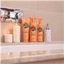 Après-shampooing Pet Head Ditch the Dirt Orange Chien (250 ml)