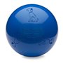 Jouet pour chien Company of Animals Boomer Bleu (250mm)