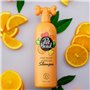 Shampooing Pet Head Ditch the Dirt Orange (300 ml)