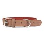 Collier pour Chien Gloria Oasis Marron (50 x 2,1 cm)