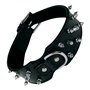 Collier pour Chien Gloria Noir Clous (55 cm)