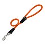 Laisse pour Chien Gloria 1.2 x 60 cm Orange