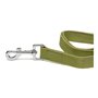 Laisse pour Chien Gloria Oasis 1.5 x 100 cm Vert