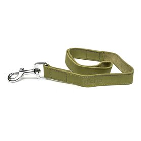 Laisse pour Chien Gloria Oasis 2.1 x 100 cm Vert