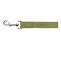 Laisse pour Chien Gloria Oasis 2.1 x 100 cm Vert