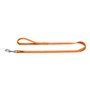 Laisse pour Chien Hunter Orange (100 cm)