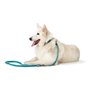 Laisse pour Chien Hunter HILO Turquoise 200 cm