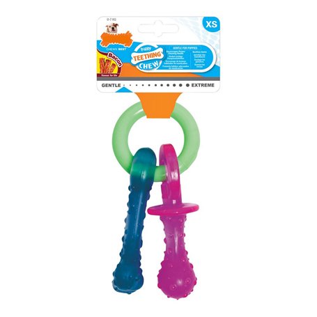 Jouet pour chien Nylabone Porte-clés Viande Fromage Chiots Bacon Nylon