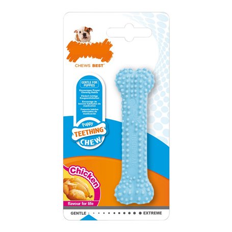 Jouet pour chien Nylabone Bleu Poulet Blue Thermoplastique Taille XS C