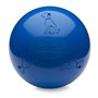 Jouet pour chien Company of Animals Boomer Bleu (100mm)