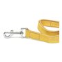 Laisse pour Chien Gloria Oasis 1.5 x 100 cm Jaune