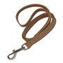 Laisse pour Chien Gloria Oasis 3 x 60 cm Marron