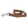 Laisse pour Chien Gloria Oasis 3 x 60 cm Marron