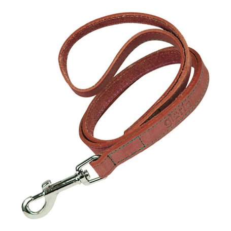 Laisse pour Chien Gloria Oasis 3 x 60 cm Rouge