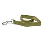 Laisse pour Chien Gloria Oasis 3 x 60 cm Vert