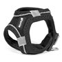 Harnais pour Chien Gloria Air Mesh Trek Star Réglable Noir Taille XXXS