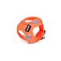 Harnais pour Chien Gloria Trek Star 24-26 cm 28-28,6 cm Orange XXS