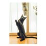 Jouet pour chats Gloria Gehry Coussin (40 x 11 cm)