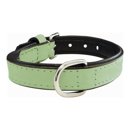 Collier pour Chien Gloria Rembourré Vert (30 x 1,5 cm)