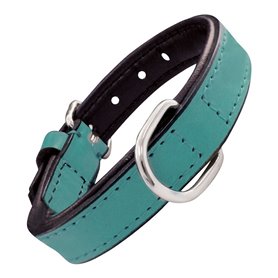 Collier pour Chien Gloria Rembourré Turquoise (35 x 1,5 cm)