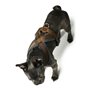 Harnais pour Chien Hunter London Comfort XS-S 39-47 cm Marron