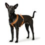 Harnais pour Chien Hunter London Comfort 39-47 cm Orange XS/S