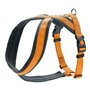 Harnais pour Chien Hunter London Comfort 39-47 cm Orange XS/S