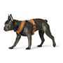 Harnais pour Chien Hunter London Comfort 48-56 cm Orange Taille S/M