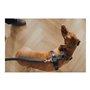 Laisse pour Chien Hunter DIVO & MALDON 2 x 100 cm Gris