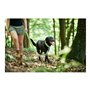 Laisse pour Chien Hunter HILO Citron (200 cm)