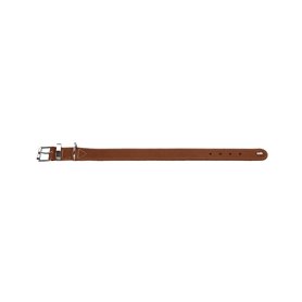 Collier pour Chien Hunter Aalborg Special Cognac (36-44 cm)