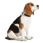 Collier pour Chien Hunter Alu-Strong Taille L Bleu foncé (45-65 cm)