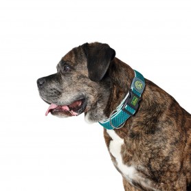 Collier pour Chien Hunter Plus Fil turquoise Turquoise Taille XL (45-7