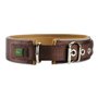 Collier pour Chien Hunter Neoprene Reflect Marron