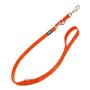 Laisse pour Chien Red Dingo Orange (1,5 x 200 cm)