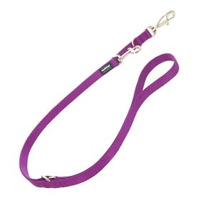 Laisse pour Chien Red Dingo Violet (2,5 x 200 cm)