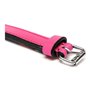 Collier pour Chien Gloria Rembourré Fuchsia (50 x 2,5 cm)