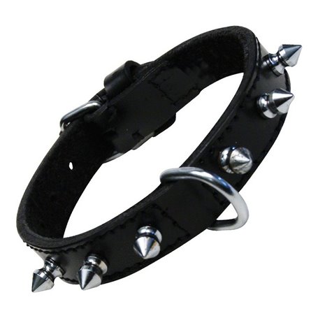 Collier pour Chien Gloria Noir Clous (55 cm)