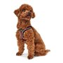 Harnais pour Chien Hunter Hilo-Comfort Rouge Taille XXS (26-30 cm)